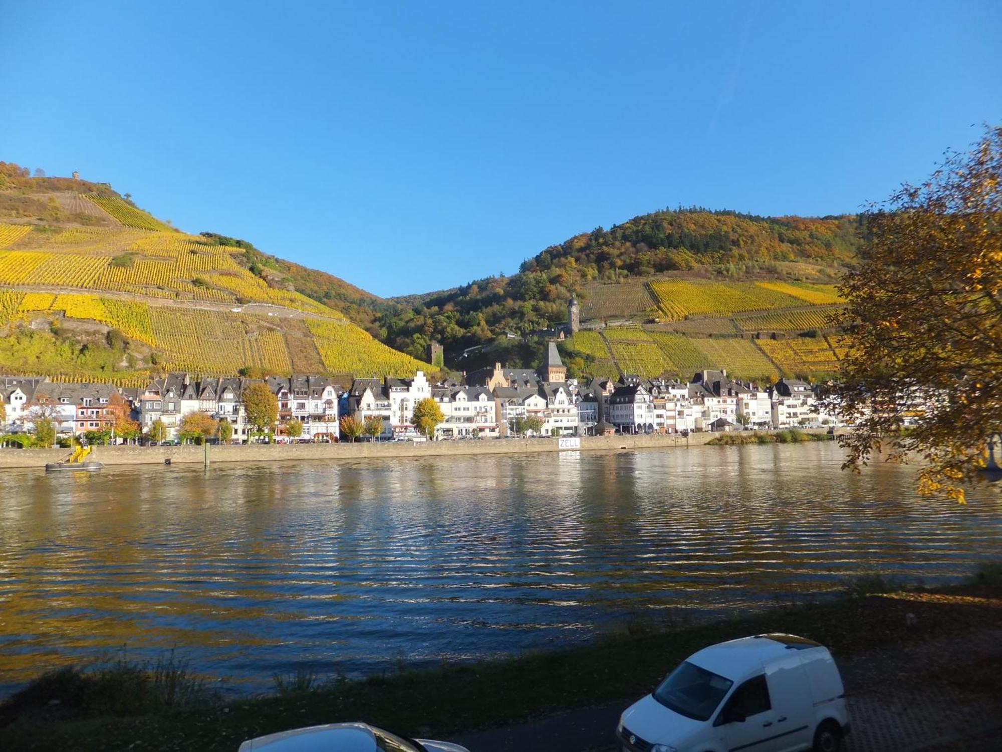 Haus Margarete Daire Zell an der Mosel Dış mekan fotoğraf